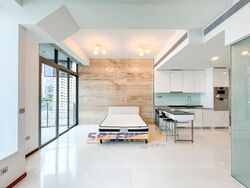 The Scotts Tower (D9), Condominium #459157901